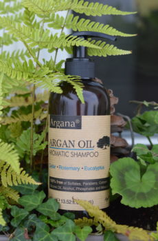 Shampoing à l'huile argan bio Accueil des sens Maryse Brunet